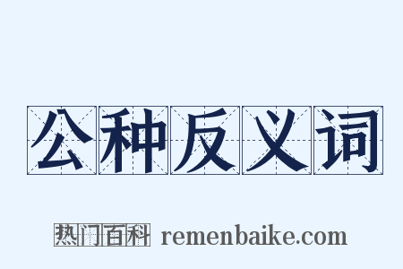 公种反义词是什么意思的图片